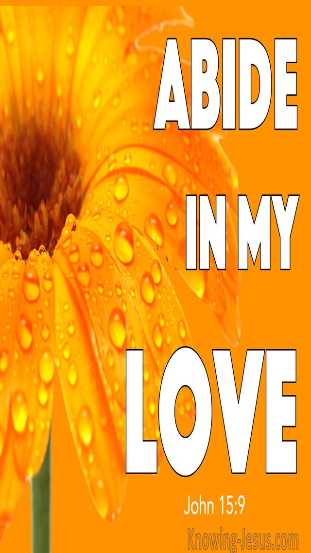 John 15:9  Abide In My Love (white)